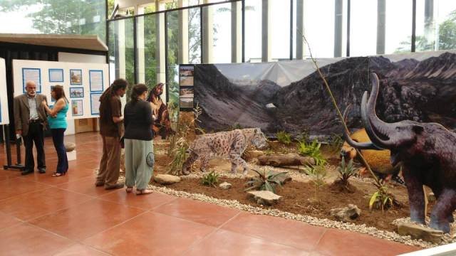 Foto: Museo del Táchira