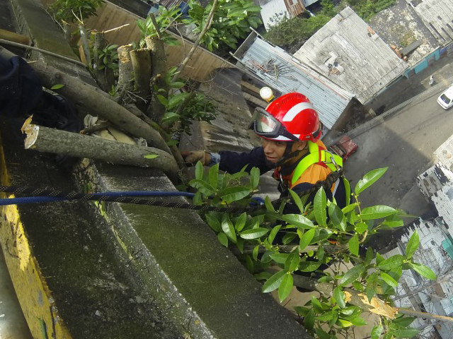 Parte de los trabajos realizados en el viaducto viejo.