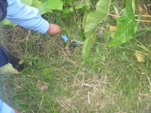El arma fue hallada en la zona boscosa