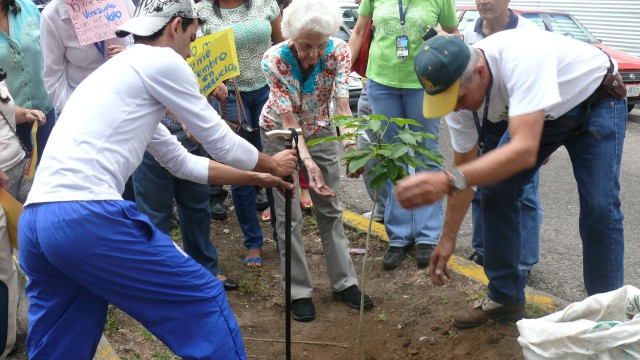 Auraelena Merchán, la viuda de Leonardo, siembra un apamate en la alameda de la calle 16