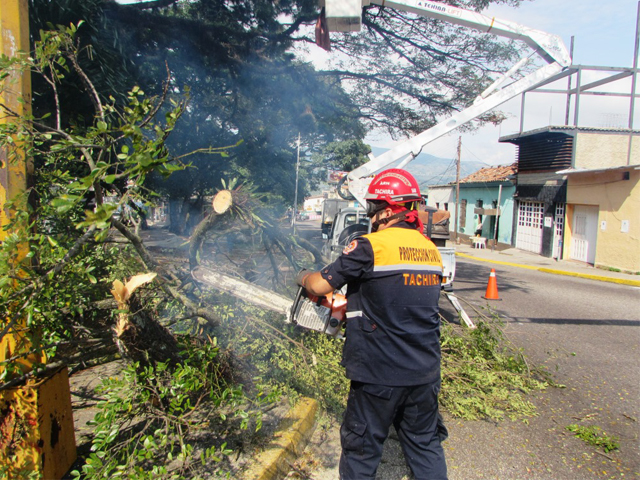 Trabajos de poda realizados por personal de PC Táchira