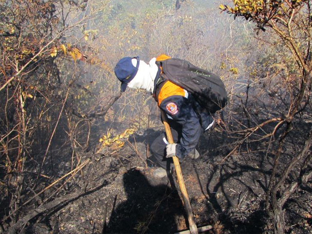 Funcionarios de PC Táchira participando en la sofocación de incendios forestales.