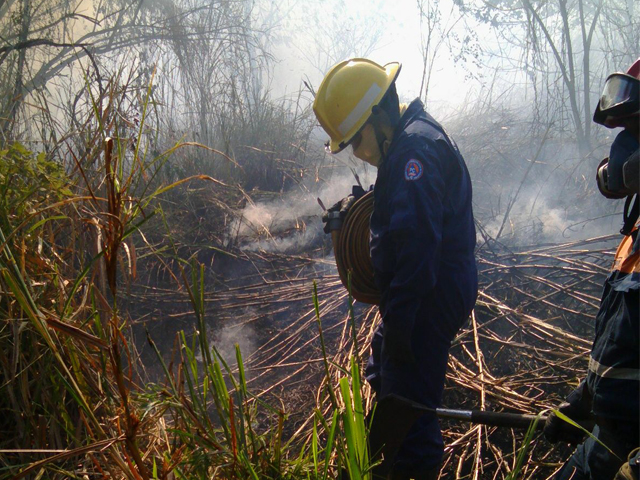 Pate del combate de incendios por parte del personal de PC Táchira