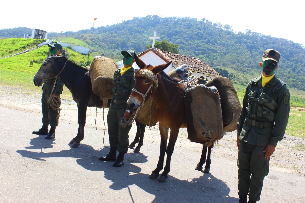 Balance seguridad Redi Andes  (11)