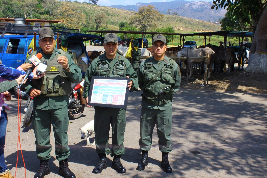 Balance seguridad Redi Andes  (13)