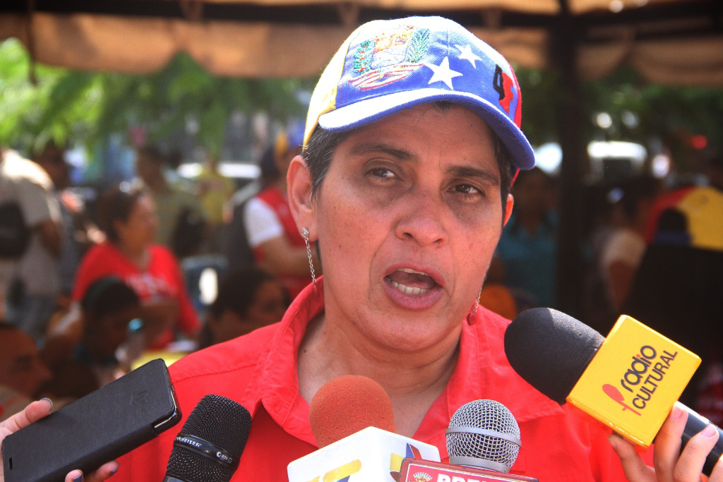 Mirian Febres Secretaria general de gobierno.