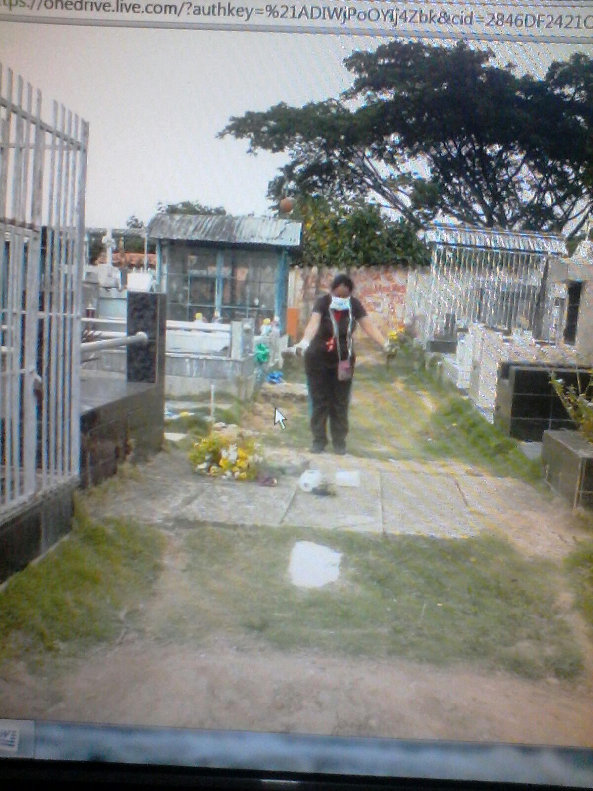 Inspección y eliminación de Criaderos en Cementerio de Colón  (2)
