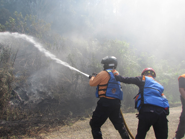 Cambate de incendio por parte del personal de PC Táchira .