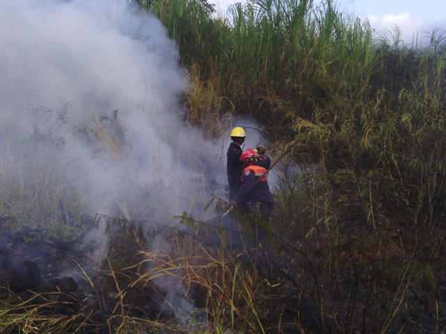 incendiodevegetacion15021613