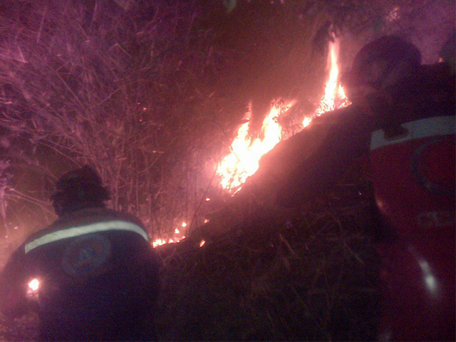 incendiodevegetacion1502166