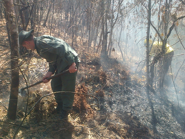incendioenelchimborazo4