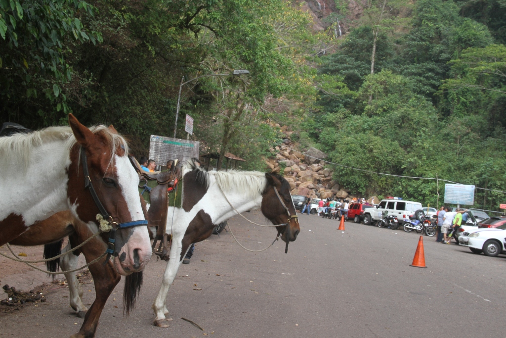 Semana Santa 2016 (50)