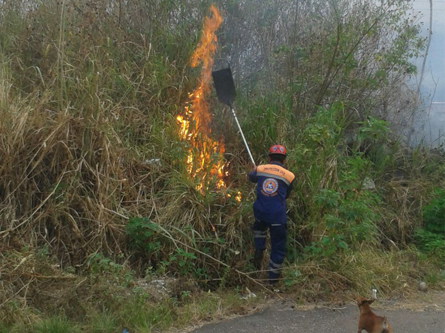 incendiosdevegetacion0103161