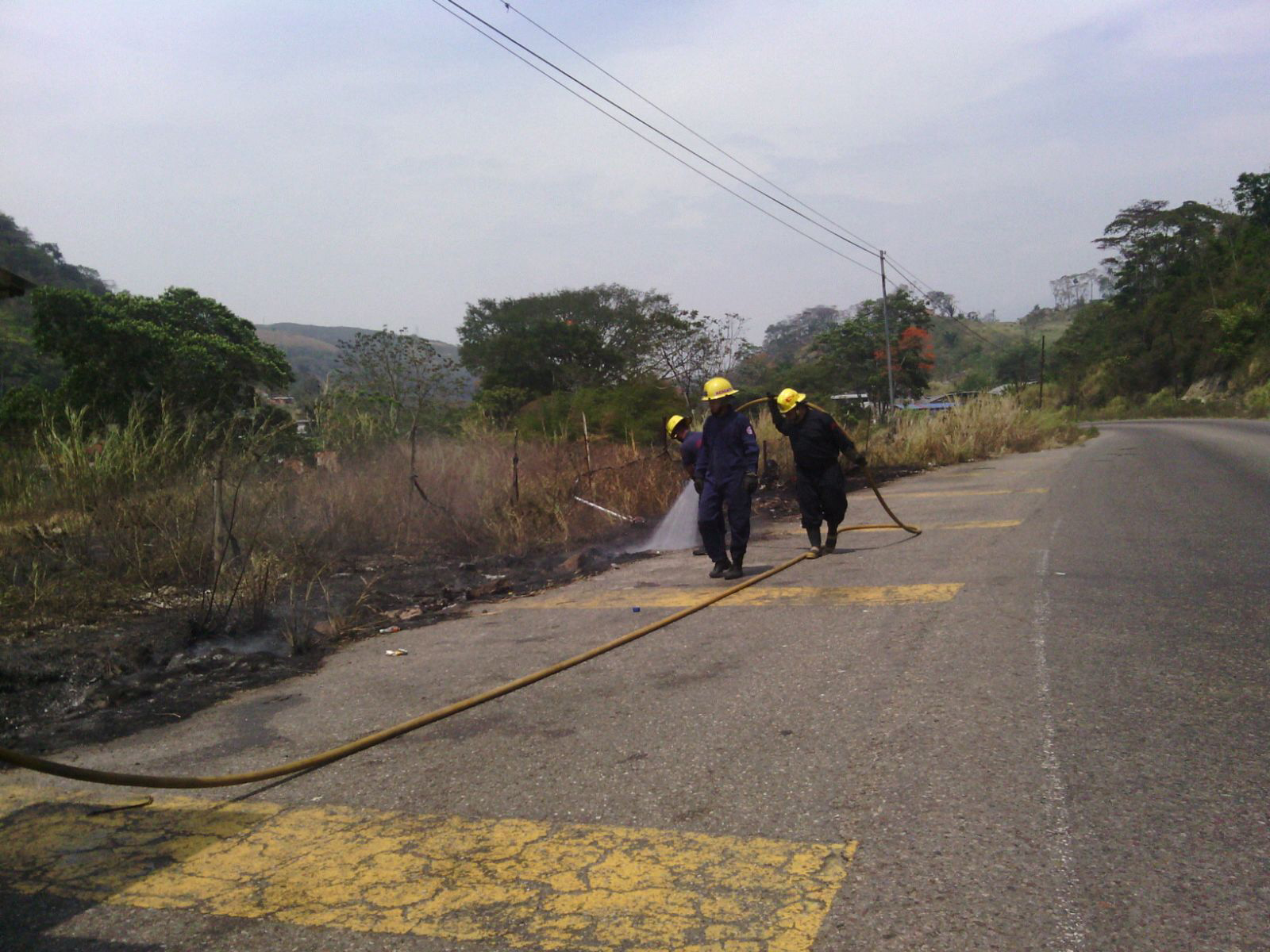 incendiosdevegetacion0103162