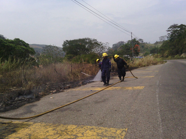 incendiosdevegetacion0103163