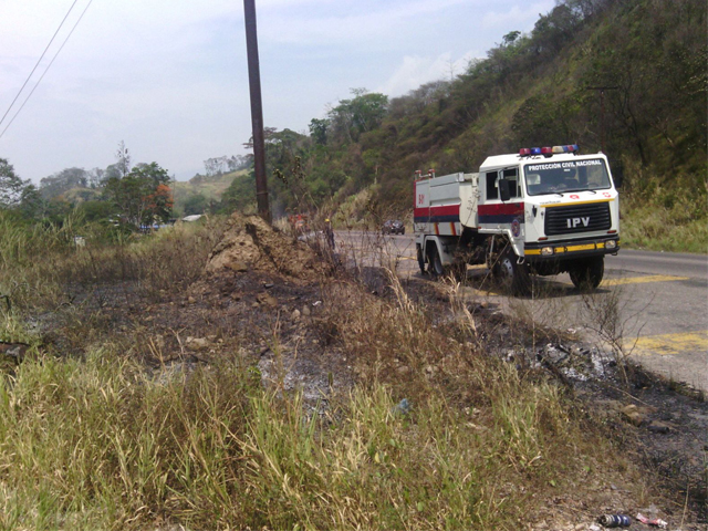 incendiosdevegetacion0103164