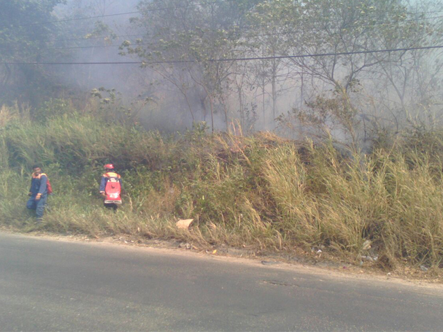 incendiosdevegetacion010316410