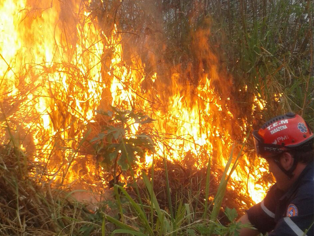incendiosdevegetacion010316411