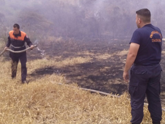 incendiosdevegetacion01031645