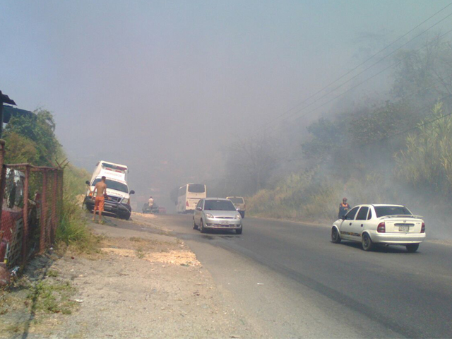 incendiosdevegetacion01031647