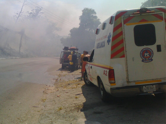 incendiosdevegetacion01031648