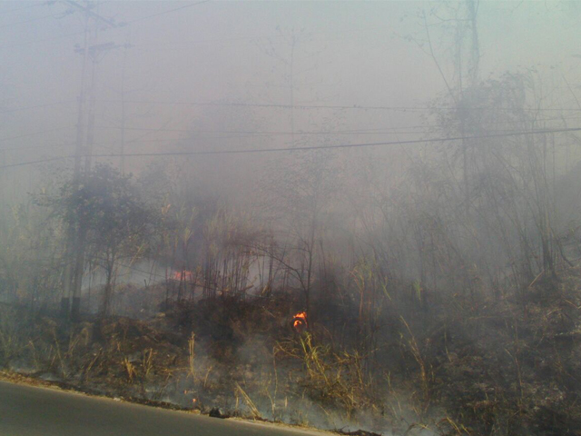 incendiosdevegetacion01031649