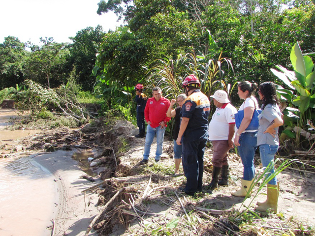 inspecciontroncal0056