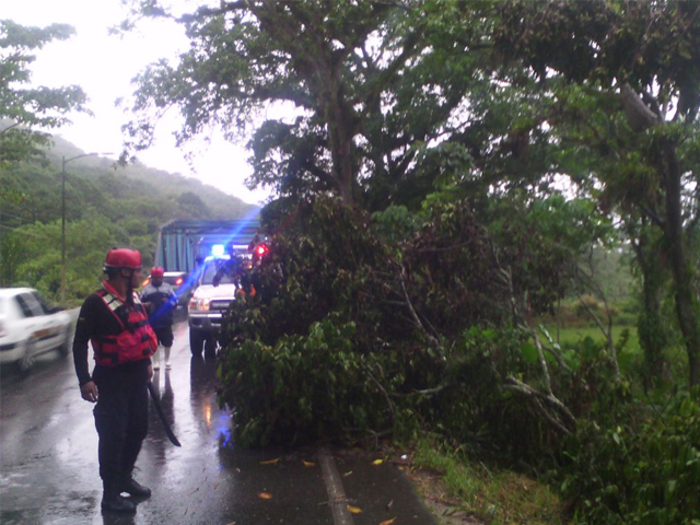 lluvia08011612