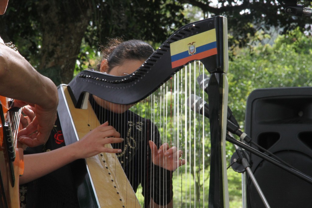 2do Festival de Arpa (23)