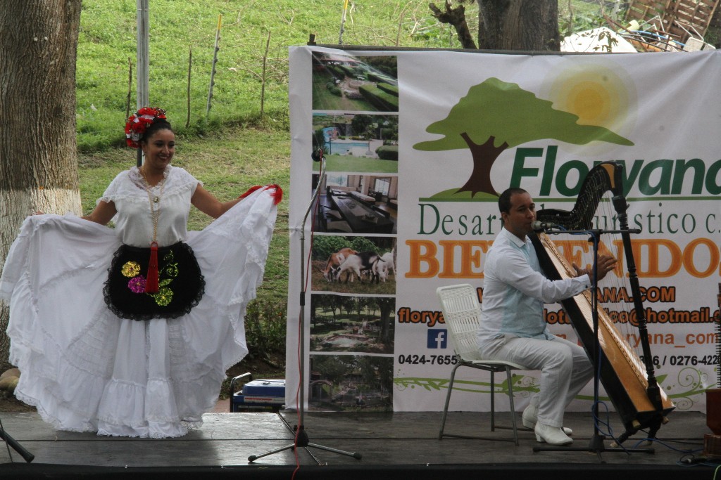 2do Festival de Arpa (3)