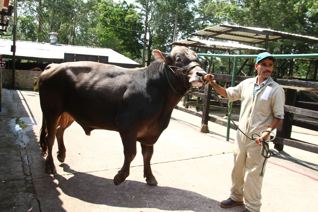 Entrega créditos Ministerio de agricultura y tierras (34)