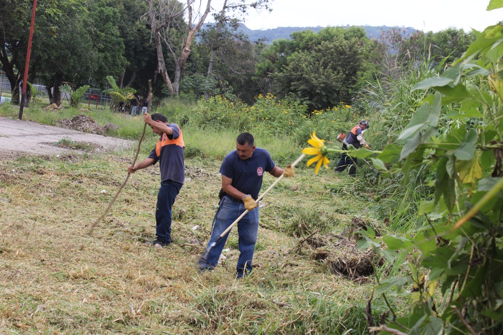 Plan Amo Táchira (24)