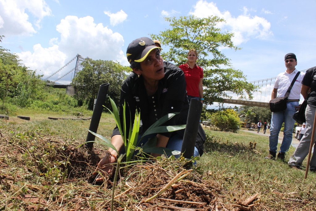 Plan Amo Táchira en parque Brisas del Torbes (67)