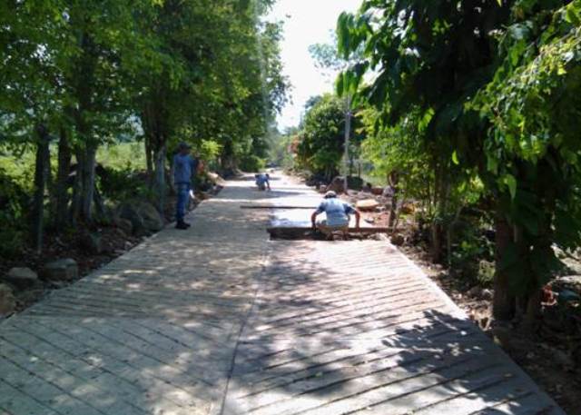 OBRA VIALIDAD AGRÍCOLA MESA DE CANELO-SAN JUDAS TADEO