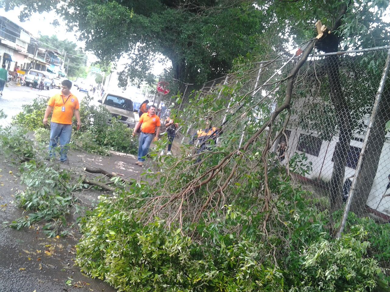 amo táchira puente real (8)