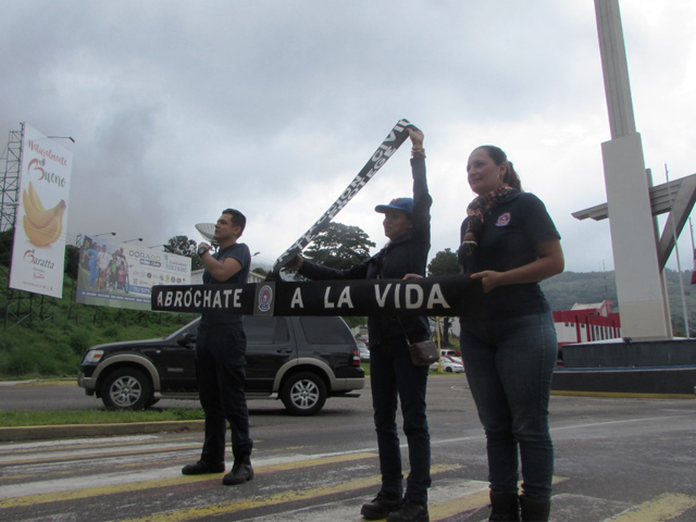 diadelcinturon8