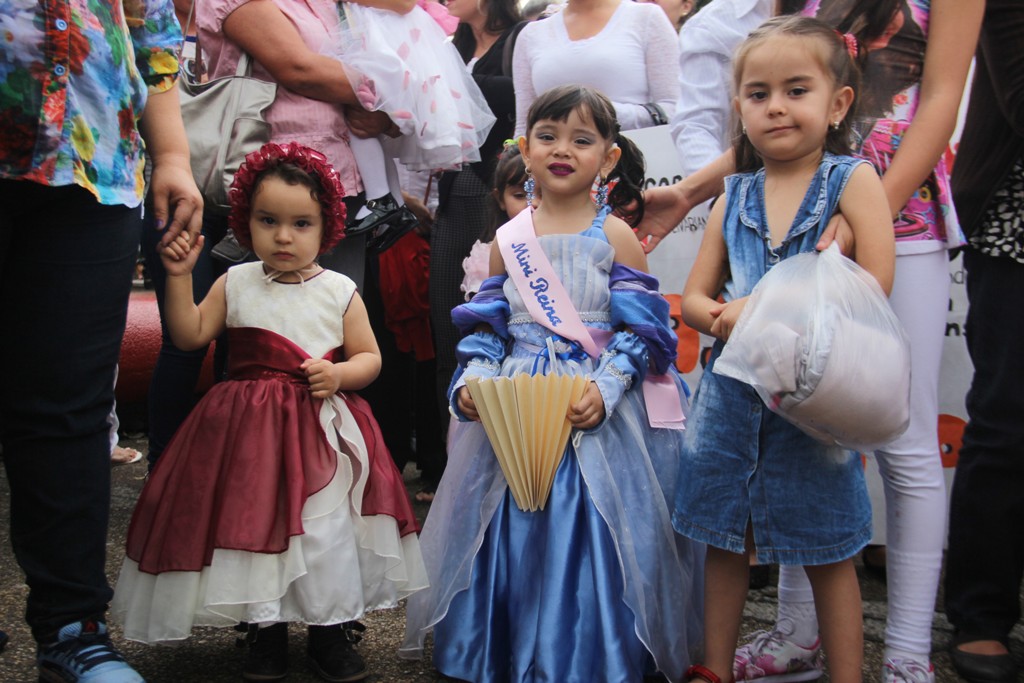 Desfile Direccion de Educacion (53)