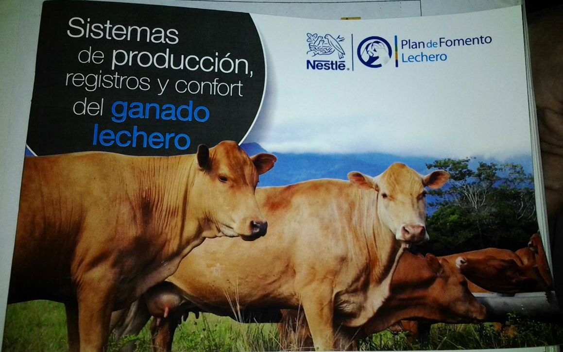 convenio nestle- gobernacion, taller formacion lechera (5)