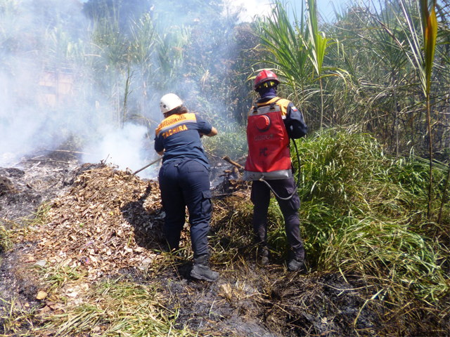 incendioforestales2002178