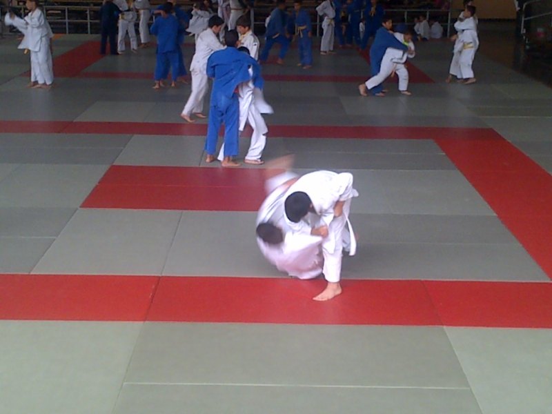 IMG Judo Táchira Marzo 2017 (10)