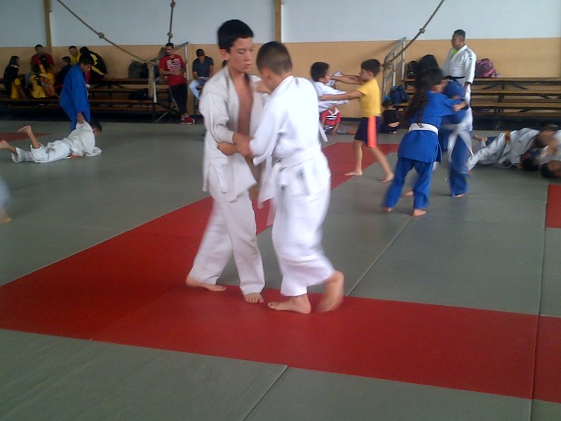 IMG Judo Táchira Marzo 2017 (15)