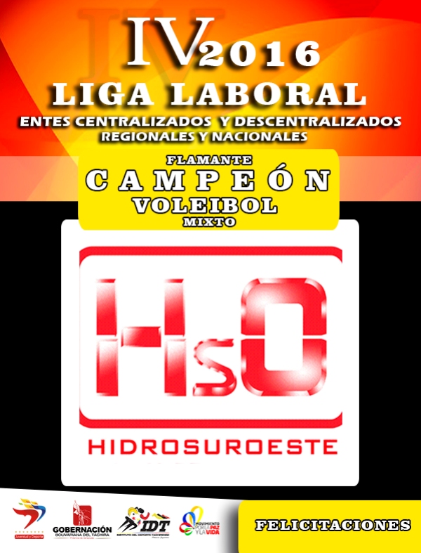 campeon liga laboral