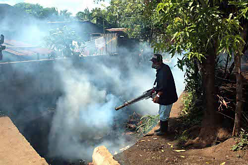fumigacion-contra-el-dengue
