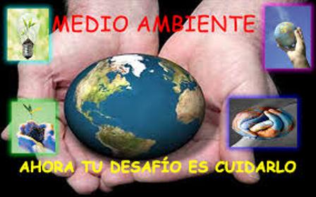 medio ambiente