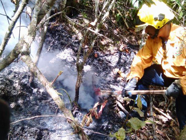 Funcionarios en combate del incendio de vegetación. 