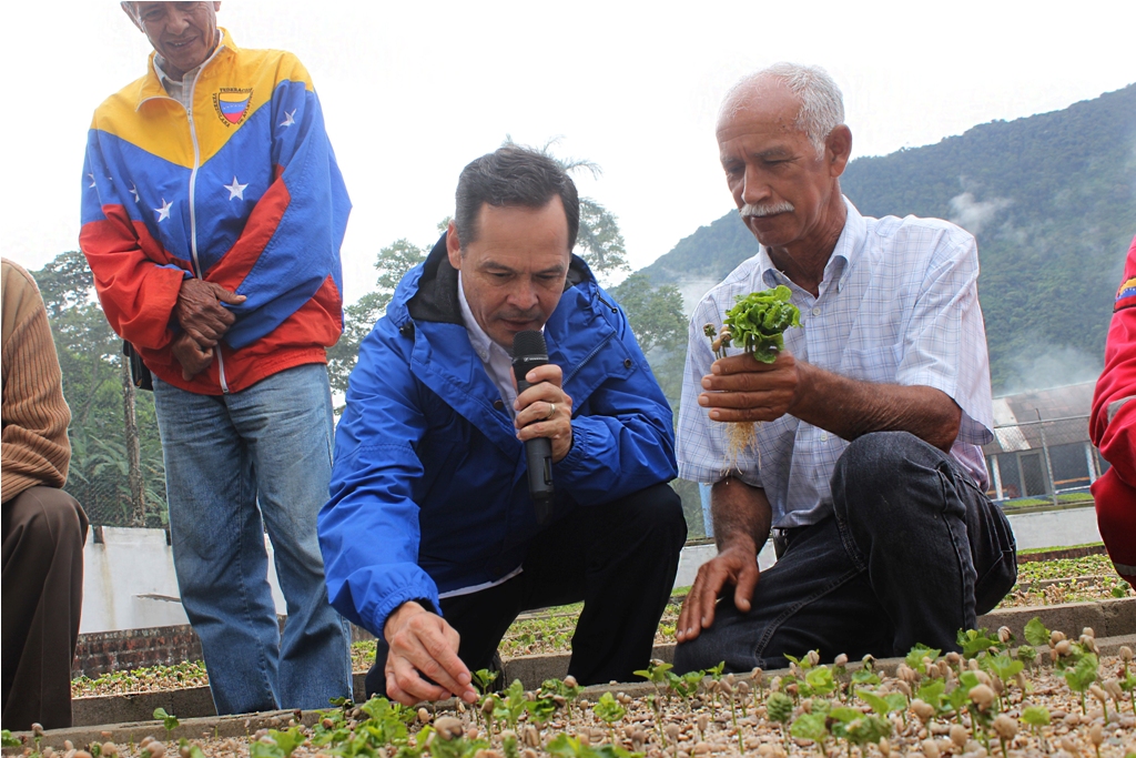 Programa vielma mora construye finca los alpes (22)