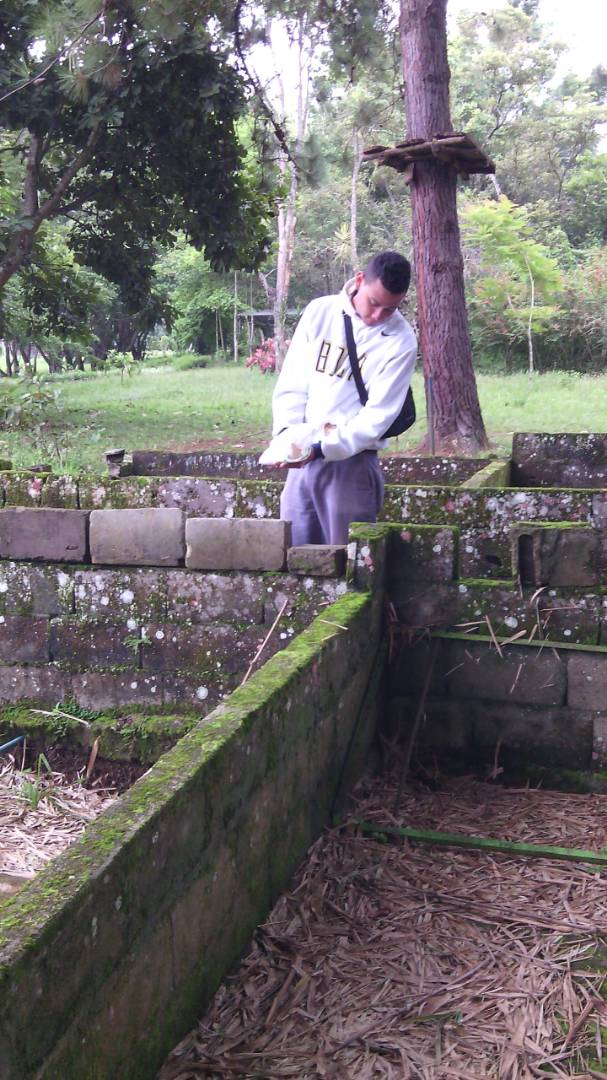 jardin botanico