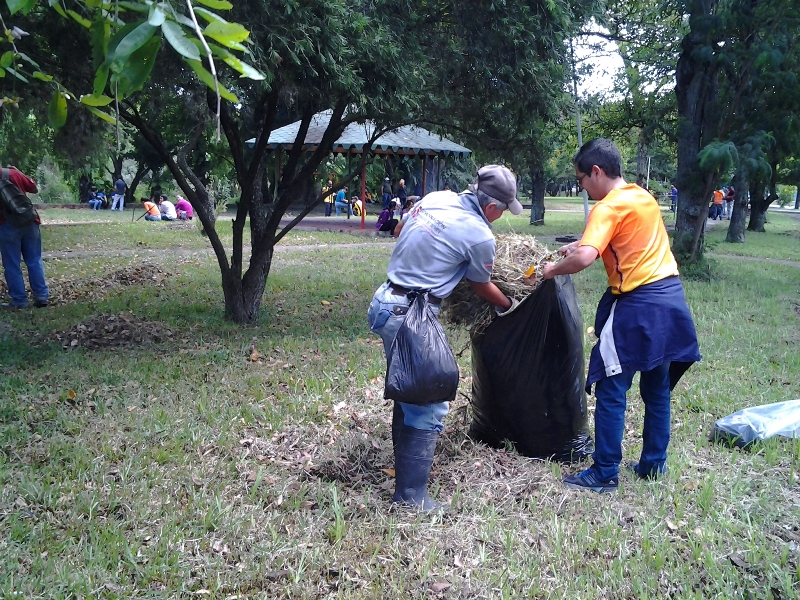 jornada de limpieza (8)