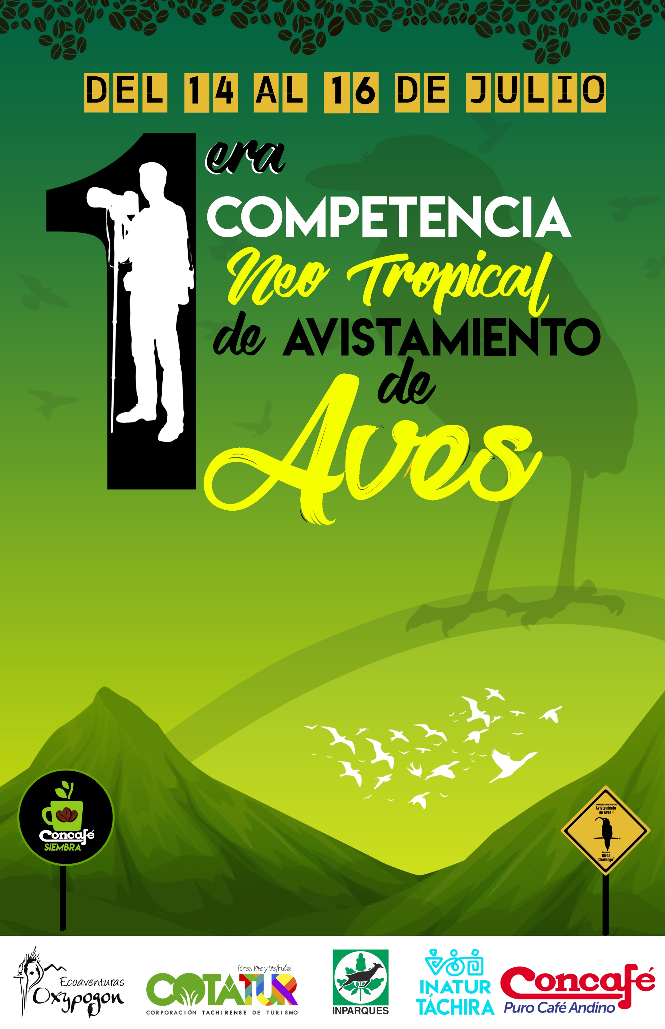 Avistamiento de Aves