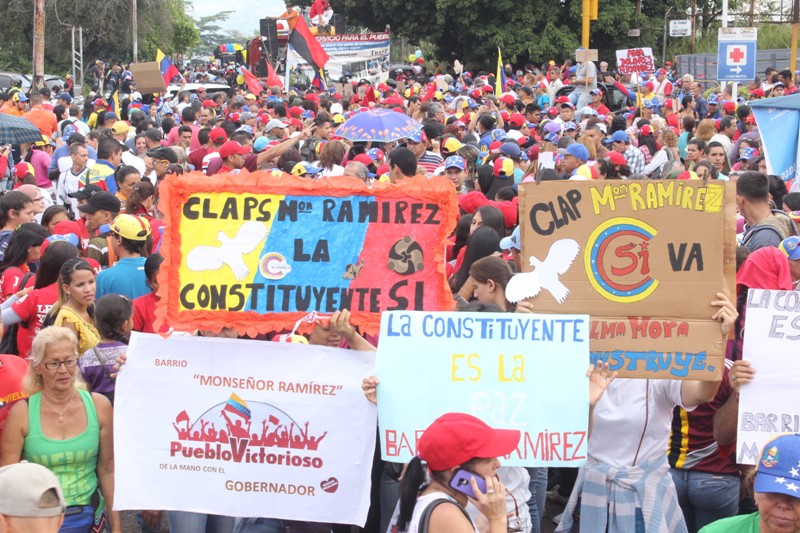 marcha x la constituyente (37)